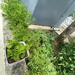 Peaceful Garden House *