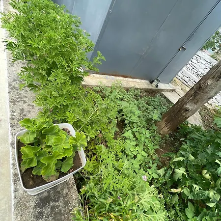 Private Garden House -central 3*